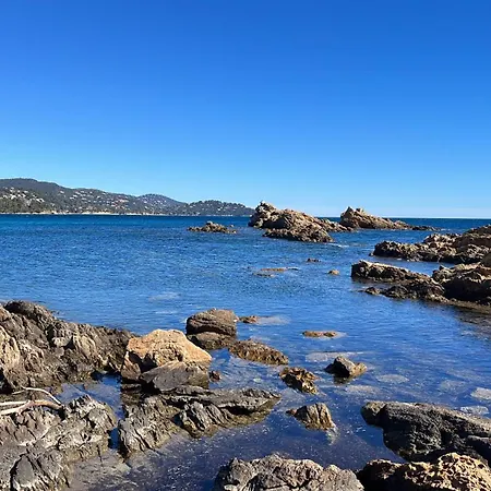 Port De L'etoile Marine